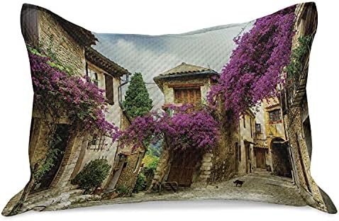 Необичен гроздобер цветен плетен ватенка перница, живописен од стариот град во Прованса, истражувајќи ја југоисточна Франција,