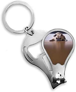 Куче Животно Соба Кат Слика Ноктите Машина За Сечење Ножици Клуч Синџир Ножици