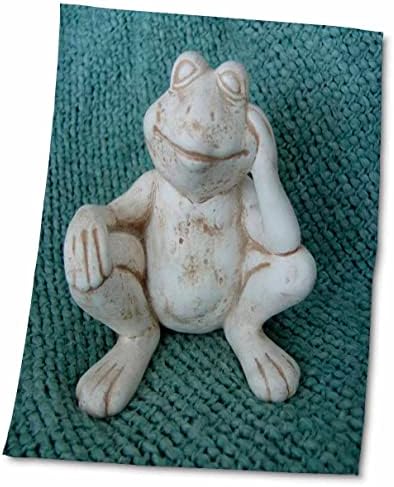 3drose Florene Childrens Art - Пријателска жаба - крпи