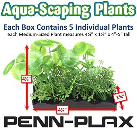 Преден план Аква-Гребење - Куп Растенија-Создадете Бујна Водна Пејзаж Веднаш Со Кутија Од Пет 4 3/4 Долги х 1 5/8 Широки Растенија