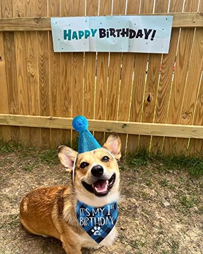 Куче Прв роденден Бандана момче и куче роденденска капа, сет, роденденска забава за кучиња за кутре