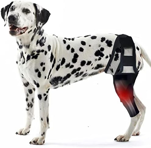 Pacify Dog Connee Brace, загради за нозе за кучиња за задната нога, заградата на коленото на кучињата за искината ACL задната нога