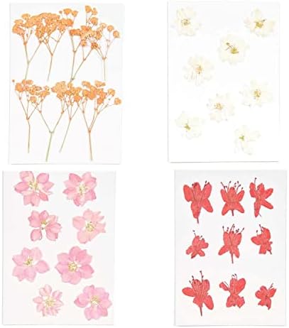Рико Дизајн 4 комплети букети со сушени и притиснати цвеќиња