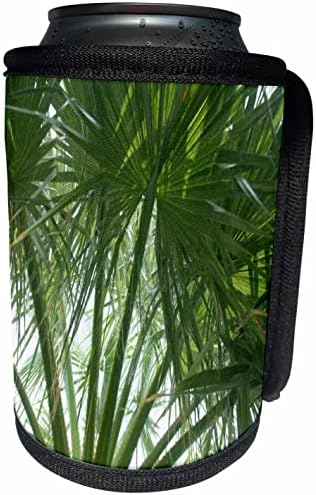 3DROSE темно зелена медитеранска палма лисја Фотографија - може да се лади обвивка за шише