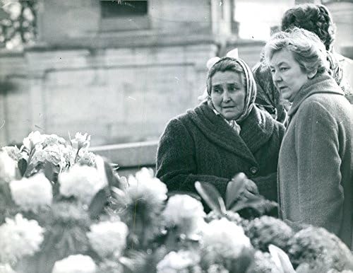 Гроздобер фотографија на жени во Погреб на Коти Ренес.