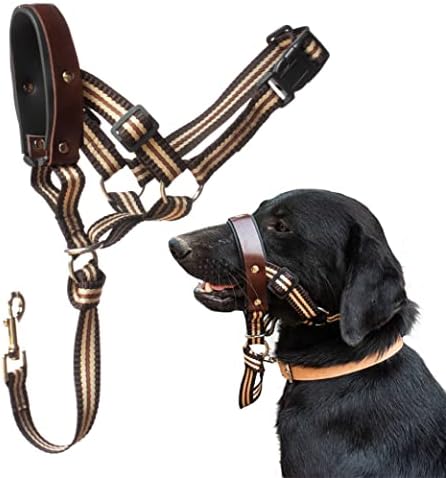 Алфа момче за кучиња Обука за кучиња-Удобно и нежно куче запрена за сите раси-Лесен за употреба на главата на кучињата-оригинална