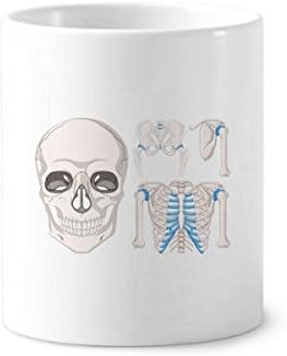 Илустрации за човечки скелети илустрации на четкички за четкичка за заби држач за пенкало кригла керамички штанд -молив чаша