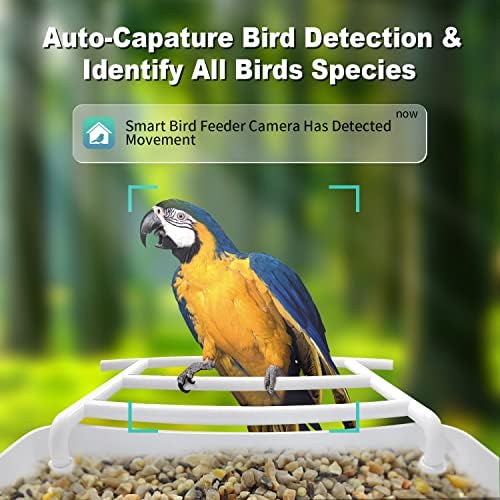 Здраво, камера за фидер за паметни птици со соларен панел, 1080p HD птици за гледање камера, автоматско снимање на птици и апликација Известете