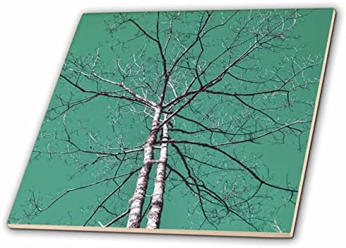 3дроза Инфрацрвена фотографија на дрво со многу гранки и сино-зелено небо-Плочки