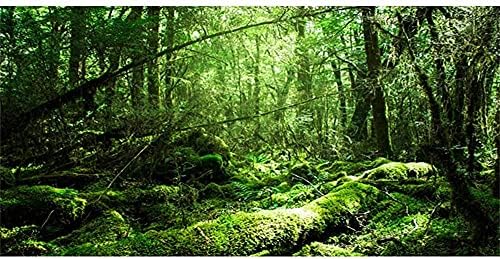 AWERT 24x12 инчи тропски терариум позадина дождовни шуми Аквариум позадина зелено дрво влекач за живеалиште позадина винил