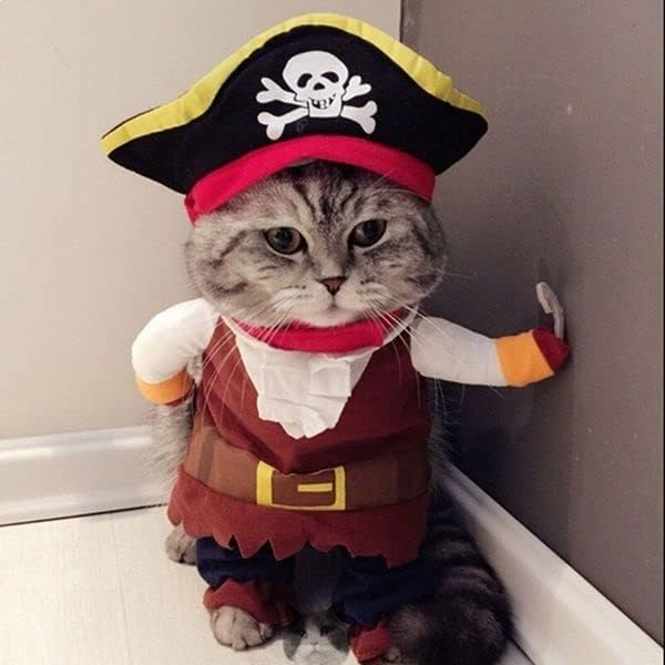 Костим на мачки со пиратски пиратски со Кејп