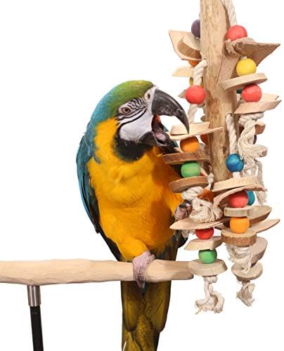 Истражувач Пол - голема папагал играчка јава гранка