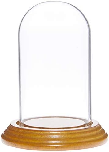 Plymor 2,5 x 4,5 Мала стаклена приказ купола клоче