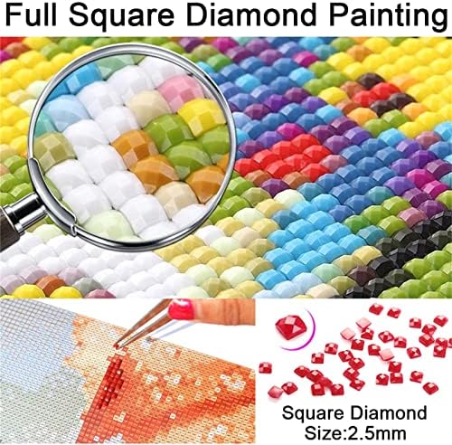 Дијамантски комплети за сликање за возрасни/деца 5D DIY дијамантска уметност боја со целосен квадрат дијамантска уметност бела
