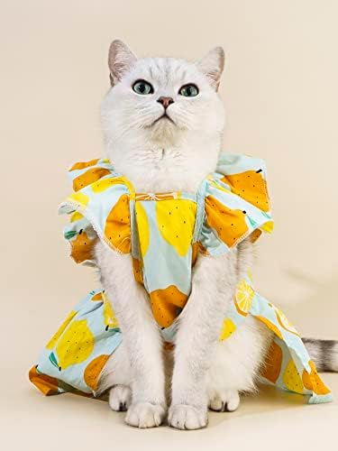 Qwinee овошје шема миленичиња фустан со мачки кучиња фустан со поводник прстен ладно милениче за дишење симпатична облека за девојки