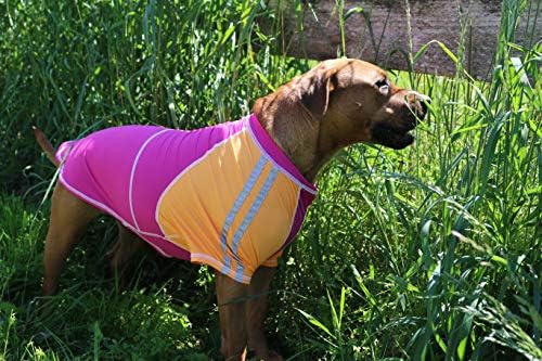 Луи де Котон Сонце кошула за кучиња и мачки | Големина: 4xl | УВ-маица за ладење за заштита за домашни миленици | UPF50+ MAX