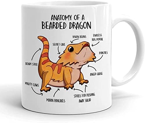 Bearded Dragon Cafe Chige - Симпатична подарок за влекачи - Анатомија на брадест змеј - брада змеј lубовник - смешна чаша за гуштер