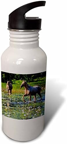 3drose Данита Делимонт - коњи - коњи кои јадат вода лилјани - шишиња со вода