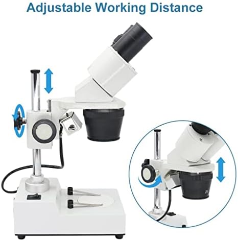 N/A двогледи стерео микроскоп Индустриски стерео микроскоп Топ LED осветлување мобилен телефон PCB Алатка за поправка на лемење