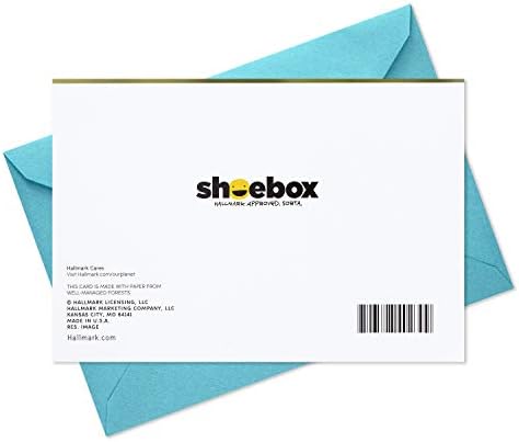 Hallmark Shoebox Смешна роденденска картичка за мажи