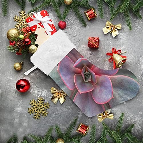 Xigua succulents Божиќни чорапи бели плишани манжетни за порибување на подароци за украси за украси за забави