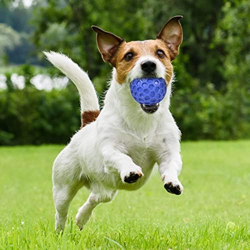 Играчки за кученца за почетнички мали кучиња, тешки издржливи кучиња џвакаат играчки за агресивни џвакачи, пискави топки за кучиња за