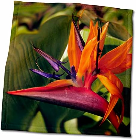 3drose Птица на рајот цвета на Градината остров, Кауаи, Хаваи. - крпи
