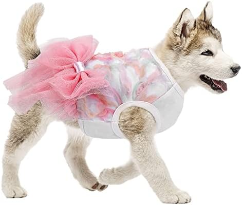 Botewo Dog Princess Passure Elegant чипка миленичиња Туту фустани симпатична здив за свадбена венчавка, роденденска облека за кученца