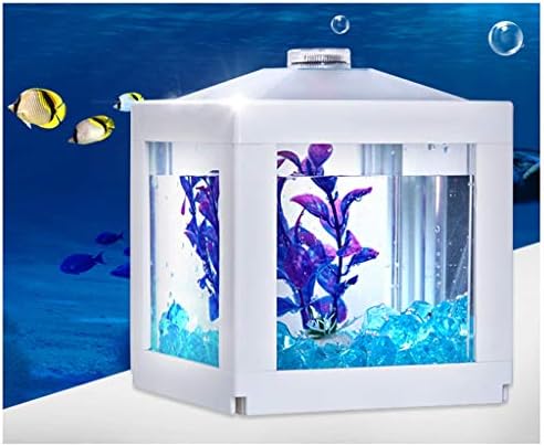 Hanxiaoyishop риба сад личност креативна акрилна риба цилиндер аквариум работна површина домашна дневна соба мода аквариум декорација риба