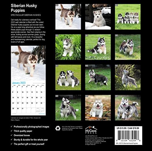Микаса сибирски хаски кутриња 2023 Месечен календар на wallидови | 12 x 24 отворено | Дебела и цврста хартија | Подарок | Симпатично кутре кутре