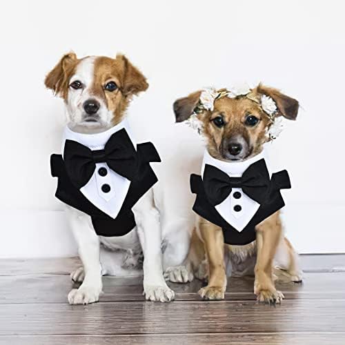 Свадба на кучиња свадба, официјална свадба за кучиња и сет на поводник, кучиња свадбени свадбени спор