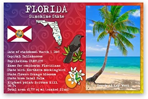 Порака за разгледници на државни факти од Флорида од 20 идентични разгледници. Поштенски картички со FL факти и државни симболи.