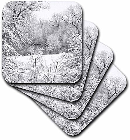 3дроза Снежна Бура Свеж Снег Фотографирана во Реката Хурон Во Ен Арбор, Мичиген-Керамички Плочки Подлоги, Сет од 4