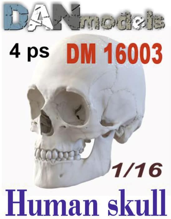Дан модели 16003 - 1/16 Човечки черепи. 4 работи, комплет за пластичен модел на скала