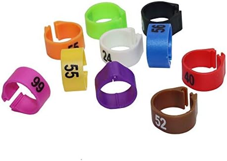 ЗБОРО 100 ПЦС 12мм 14мм Птица пластични клип прстени во боја на подножје бр.1-100 за 10 бои-70115