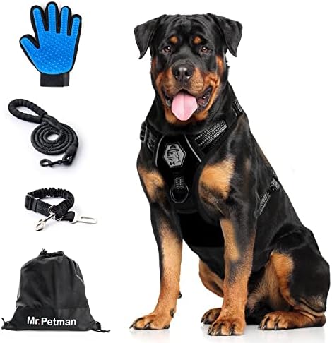 Г -дин. Петман без влечење кучиња со поводник, безбедносен појас, ракавица за чешлање - не се поставува решетка за кучиња за кучиња за
