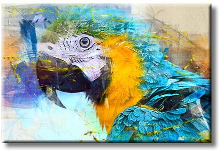 Morden Decoration Parrot Art Art на истегната платно, декор на wallидни уметности, подготвени да висат