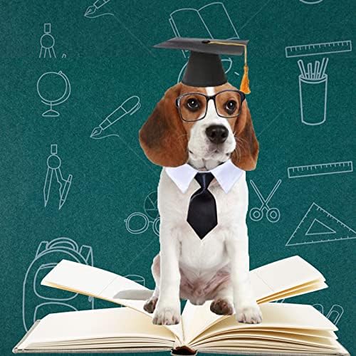 Капчиња за дипломирање за миленичиња со Bowtie kecktie 2pack Dog Дипломирање капи, јака кученце дипломирање костум прилагодливо капаче