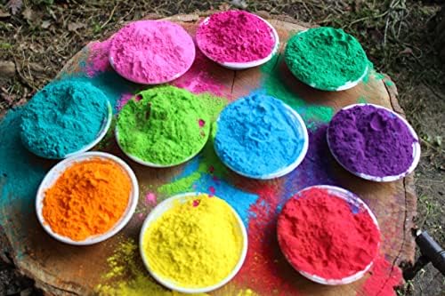Луди бои Холи боја во прав 10 светли живописни Бои по 1 фунта торба за Фестивалот Холи, фрлање Бои, Летен Камп, фрлање Креда, Откривање На Полот