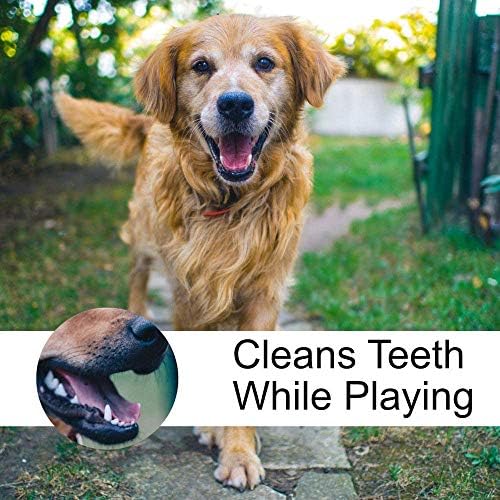XPangle Трајни Куче Јаже Топката, Големи Куче Џвакање Топката Играчки За Агресивни Џвакачи Чистење на Забите 5.1 во