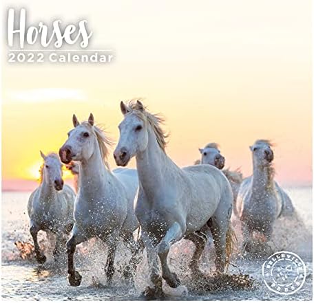 2022 Коњи Месечен Ѕиден Календар, 12 х 12 Инчи, Слатки Животни Од Фарма