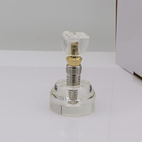 DentalMall 1 компјутер Стоматолошки модел 2020 01 - јасен модел на имплантација Демонстрација на стоматолошки имплантација Модел на заби