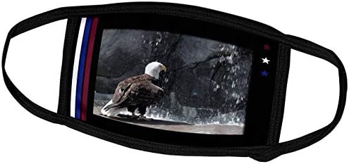 3дроуз Беверли Тарнер Фотографија На Птици-Ќелав Орел со Водопад-Маски За Лице
