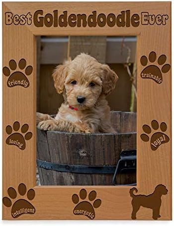 Кејт Пош Голдендудл Рамка за слика, Најдобра Голдендудл некогаш, нов подарок за кученце, подарок за lубител на кучиња, Меморијално куче, врежана