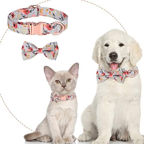 Giligege персонализирани јаки од кучиња со лак -вратоврска памучни девојки јака за кучиња со метална тока прилагодливи јаки за кученца