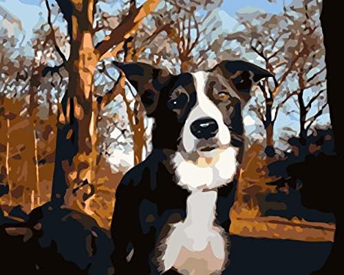 DIY боја по број за возрасни и деца есенско шума животно кучиња акрилна боја по броеви за почетник, лесно сликарство за масло за