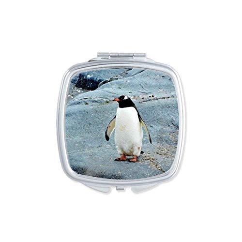 Антарктички камен океан пингвин наука за наука за природа Преносен компактен џеб шминка двострано стакло