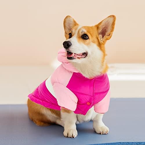 Blu & Ben Stylish Dog Count Дополнително топло куче зимско палто водоотпорно доживотно зимско кучиња облека ладно време куче облека за мали