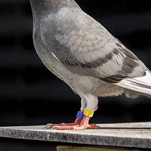 Griendyami прстен за идентификација на птици 150 парчиња разнобојни птици нозе бендови пилешки гулаби нозе прстени пластични