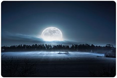 Лунарна Ноќно Небо Милениче Мат За Храна И Вода, Месечината Полумесечина Издига Над Темно Шумски Рид Во Северна Студена Шведска Слика,